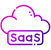 SaaS (Software-as-a-Service) Development