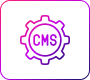 Custom CMS Solutions​