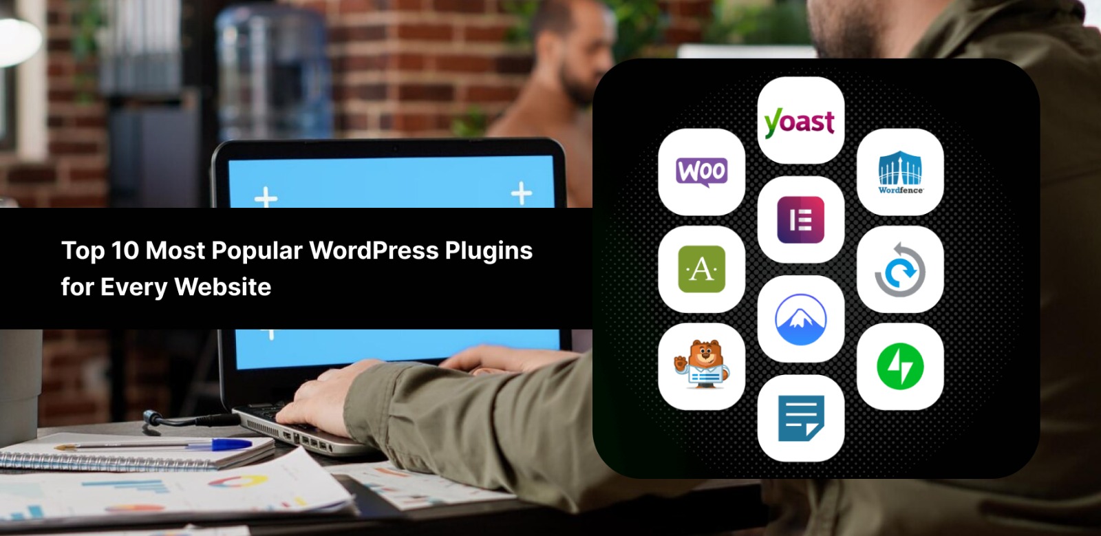 most popular WordPress plugins - Zetawiz